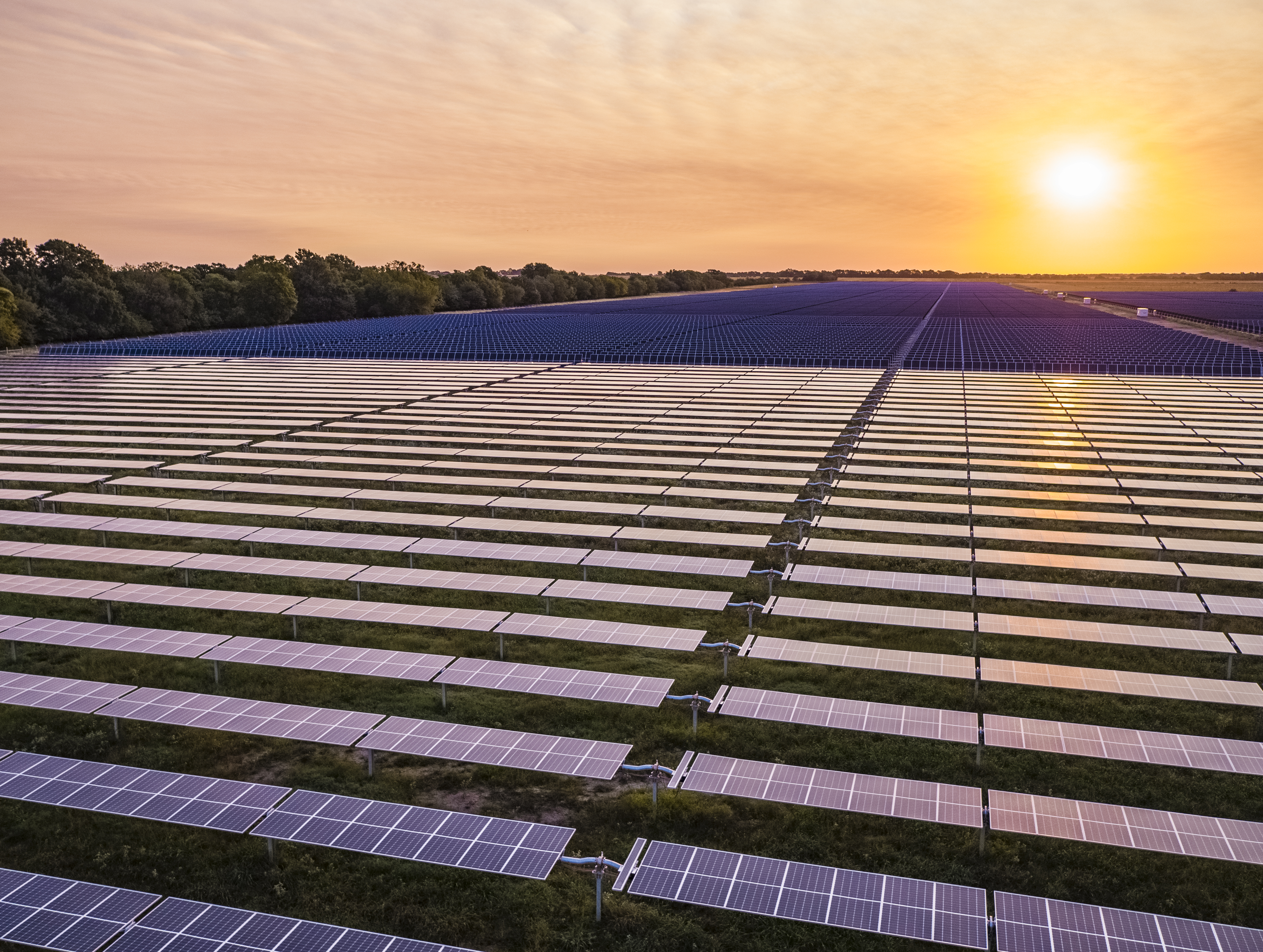 Sustainability & Environment 