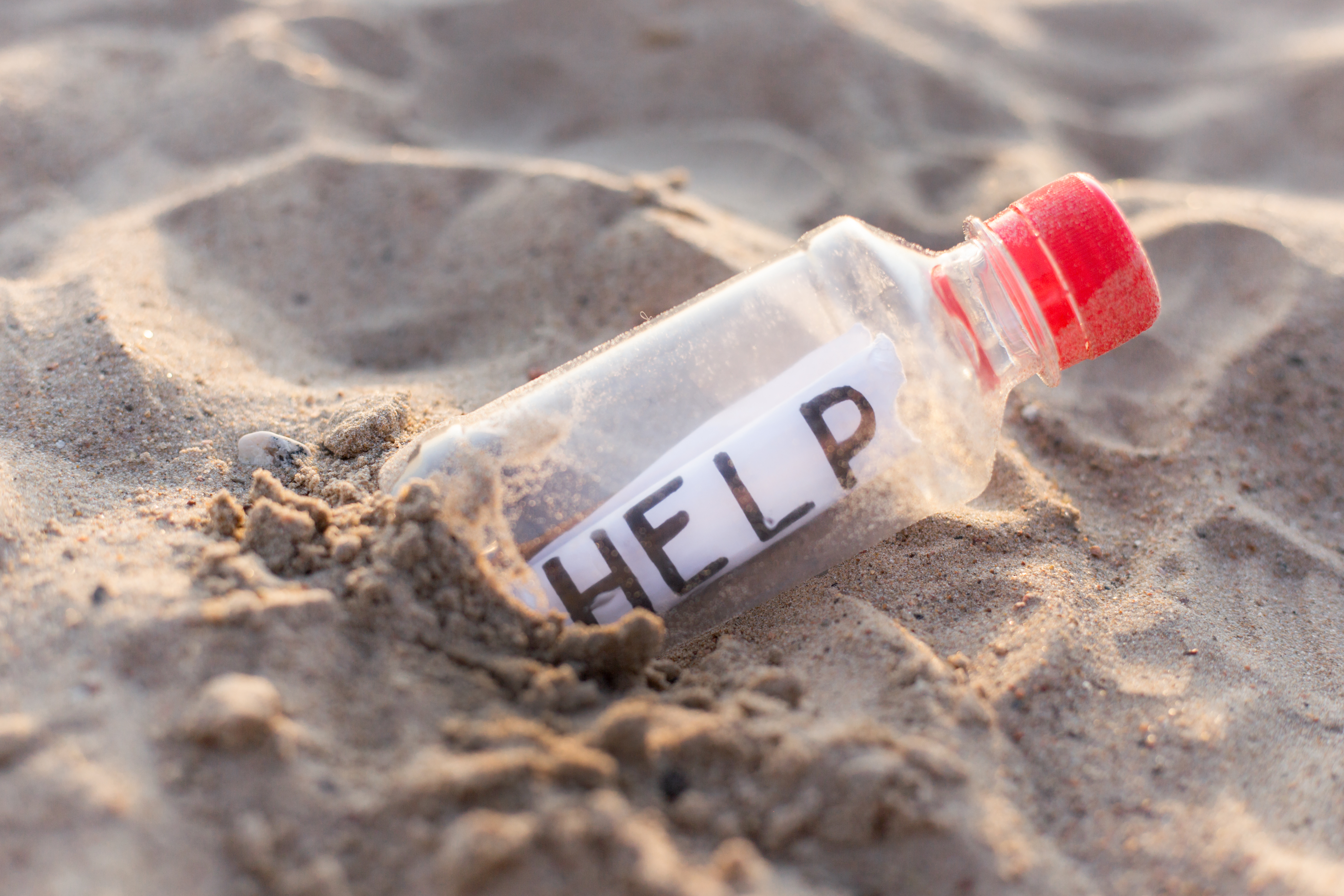 Message in a Plastic Bottle – The Search for Sustainability 