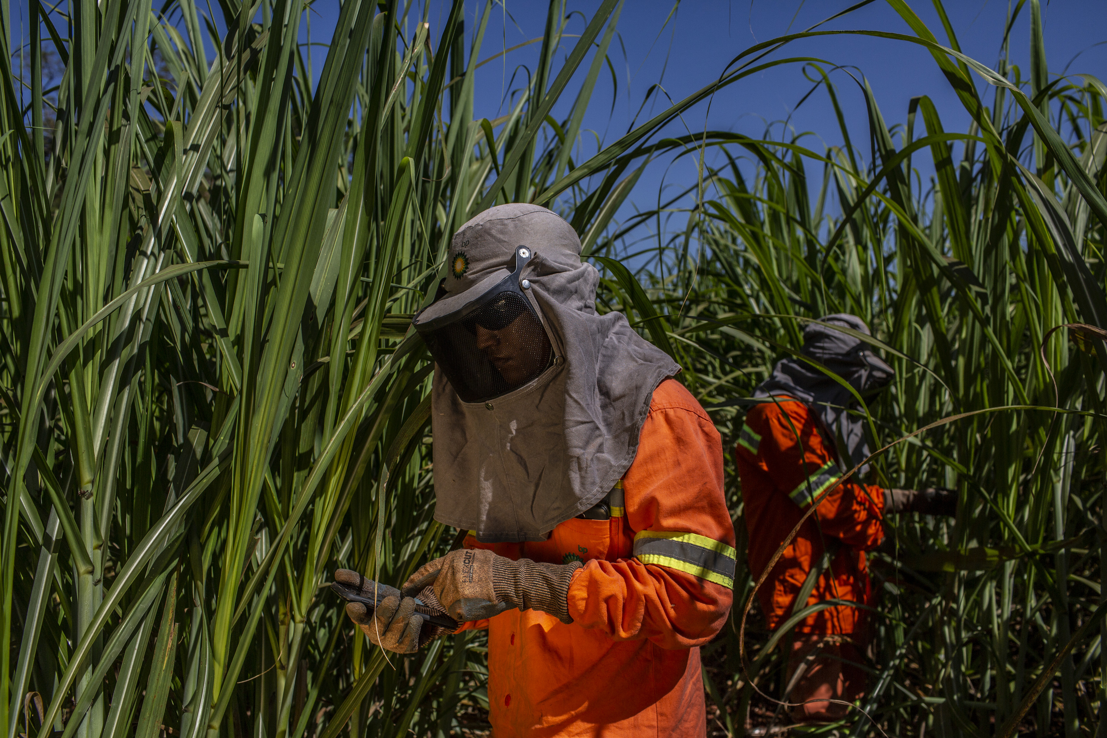 Renewables and Sustainability