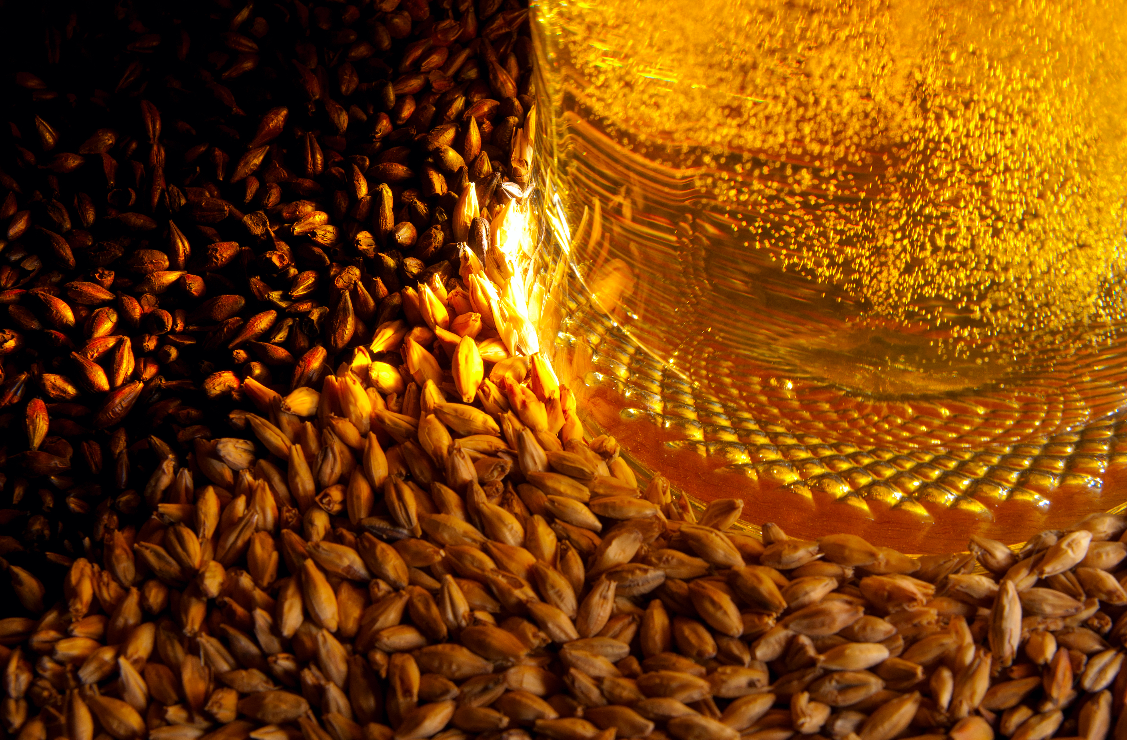 Brewing – more than Beer 