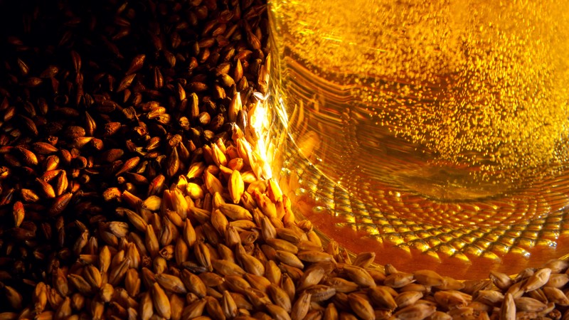 Brewing – more than Beer 