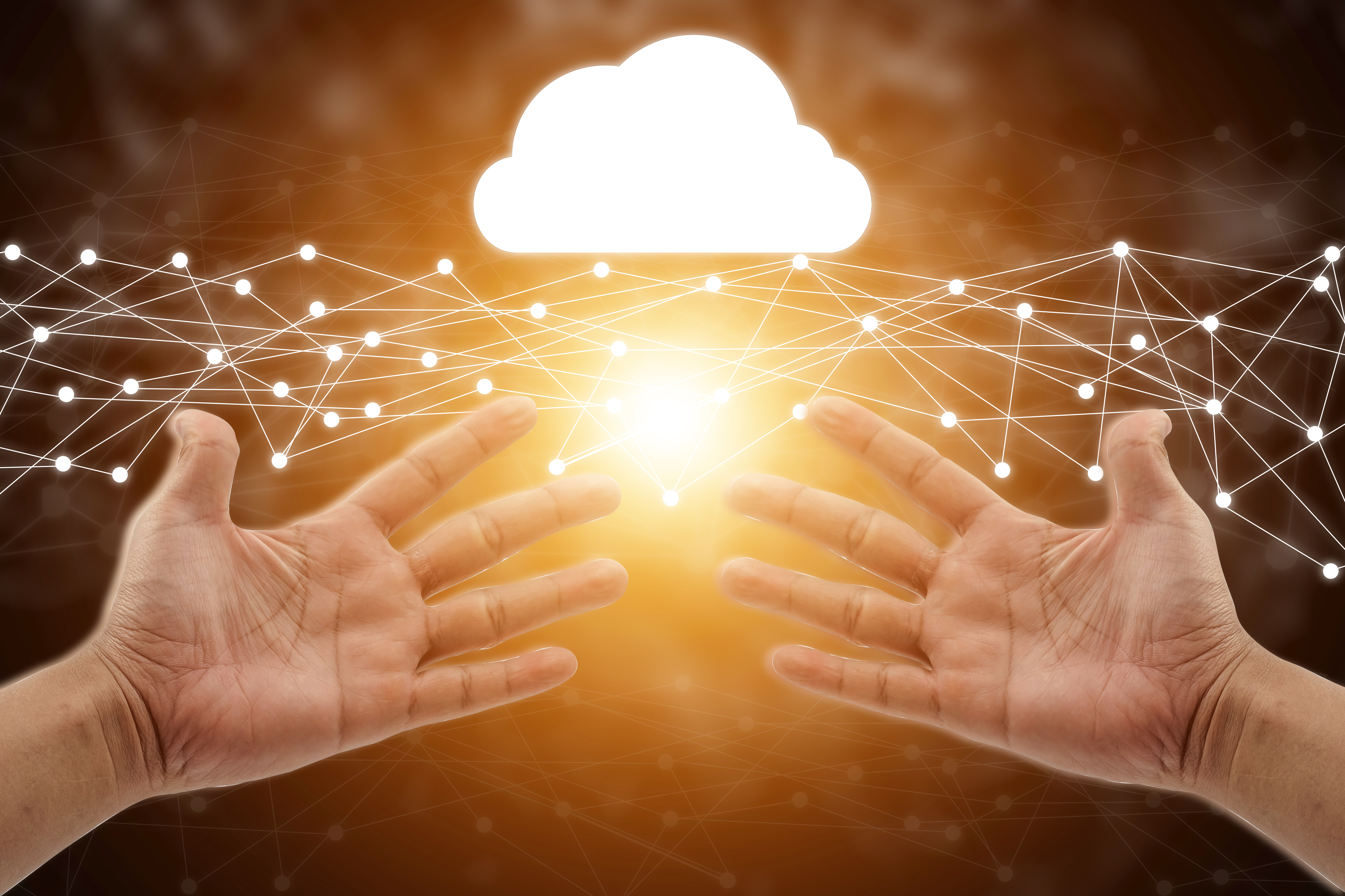 Introducing the Social Experience Theme