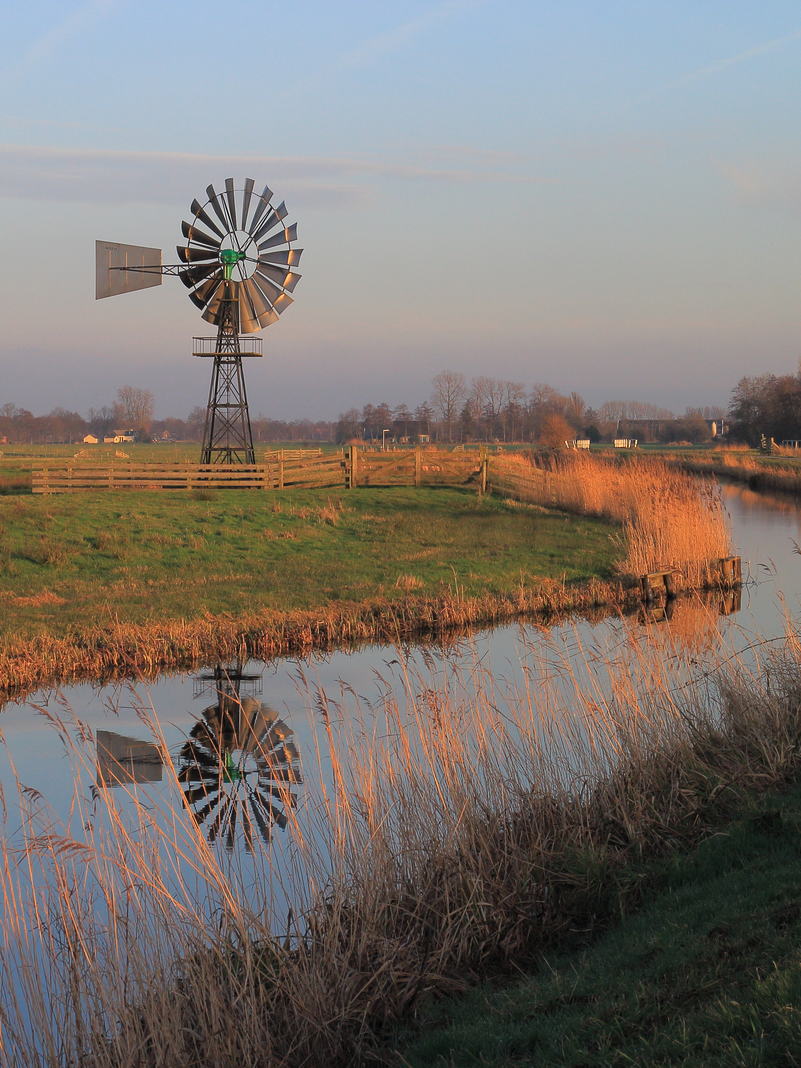 Environmental Trade-Offs for a Sustainable Future: Water/Energy/Food Nexus 