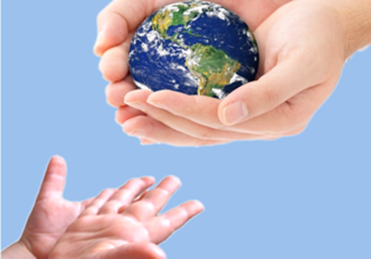 The Sustainability Hub 