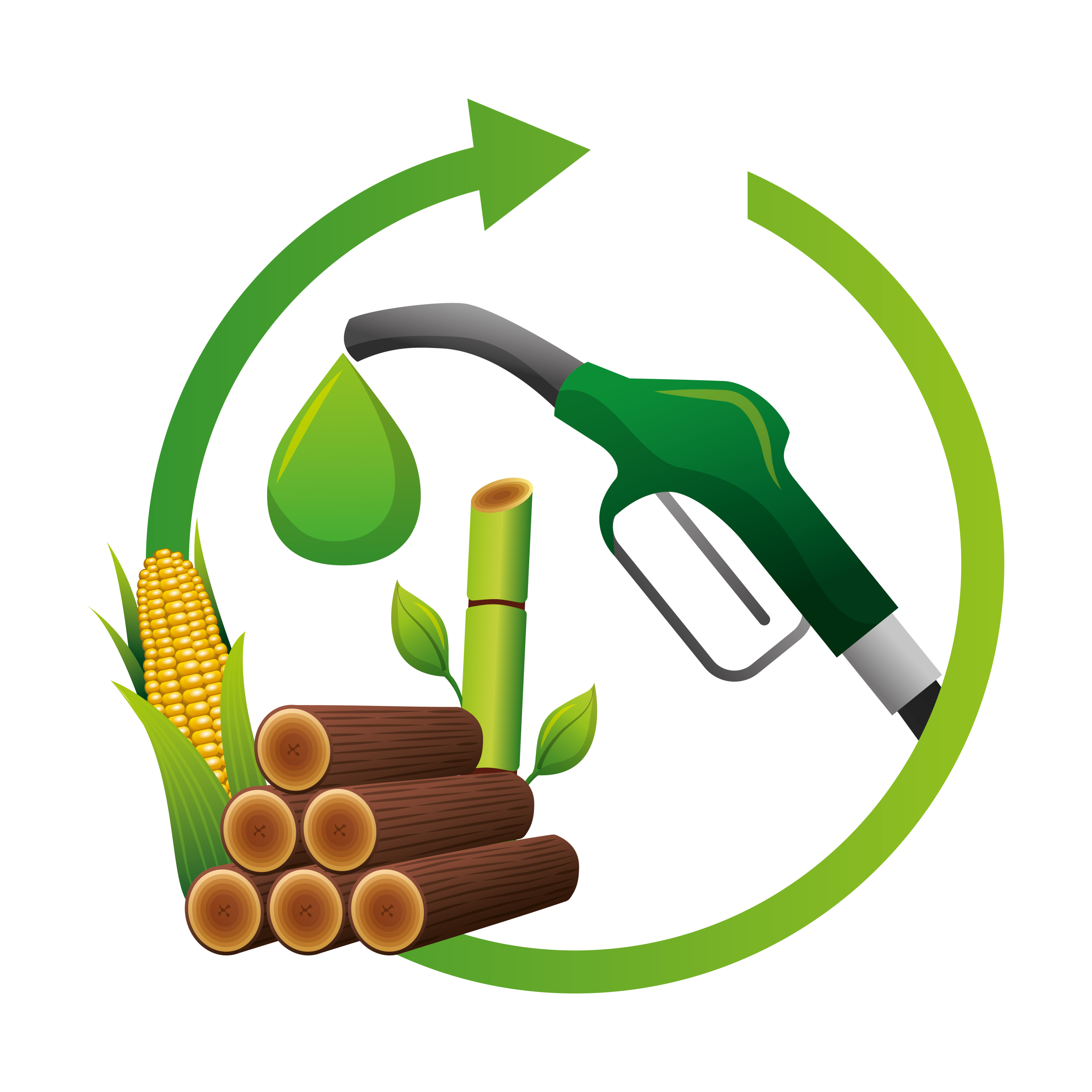 Investigating the viability and improved safety of vegetable oil fuel as a potential replacement for fossil fuels